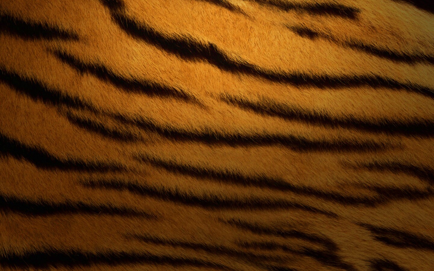 Шкура тигра обои