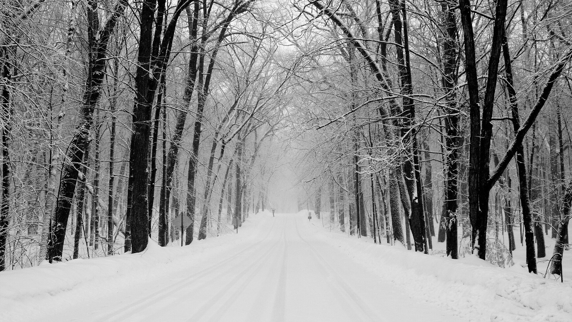 Дорога зимой в парке обои