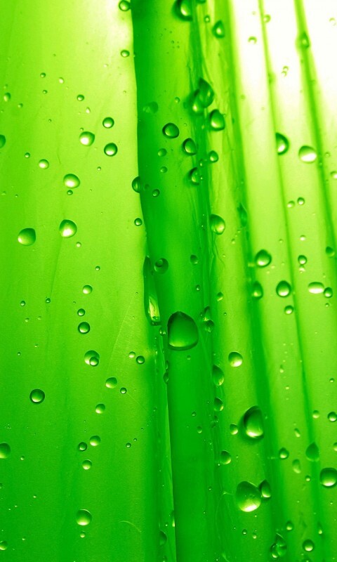 Капли на зеленом пластике обои