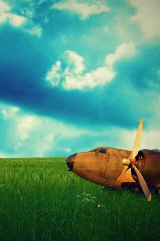 Старый ржавый самолет на лугу обои