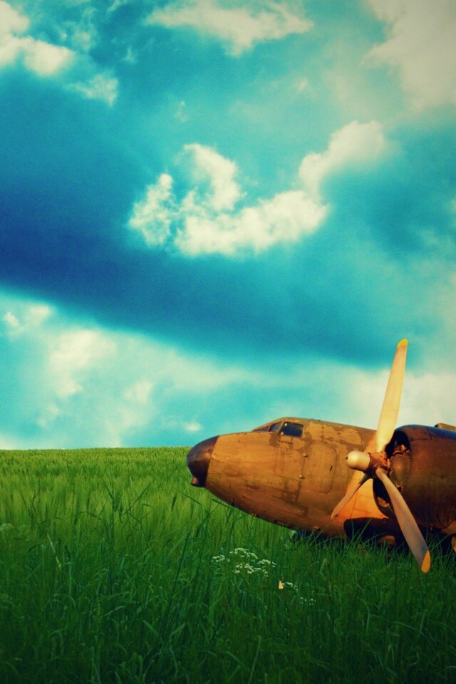 Старый ржавый самолет на лугу обои