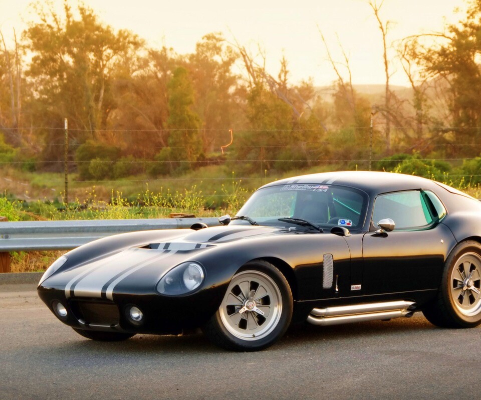 Shelby Daytona обои