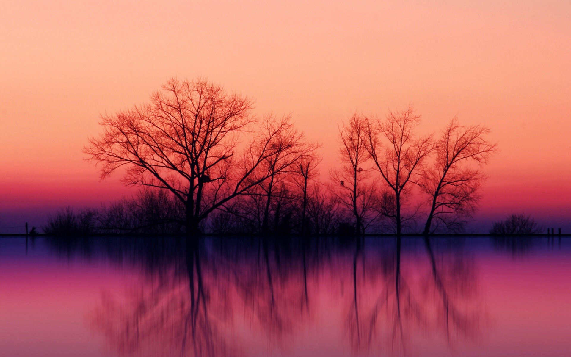 природа озеро солнце закат деревья бесплатно