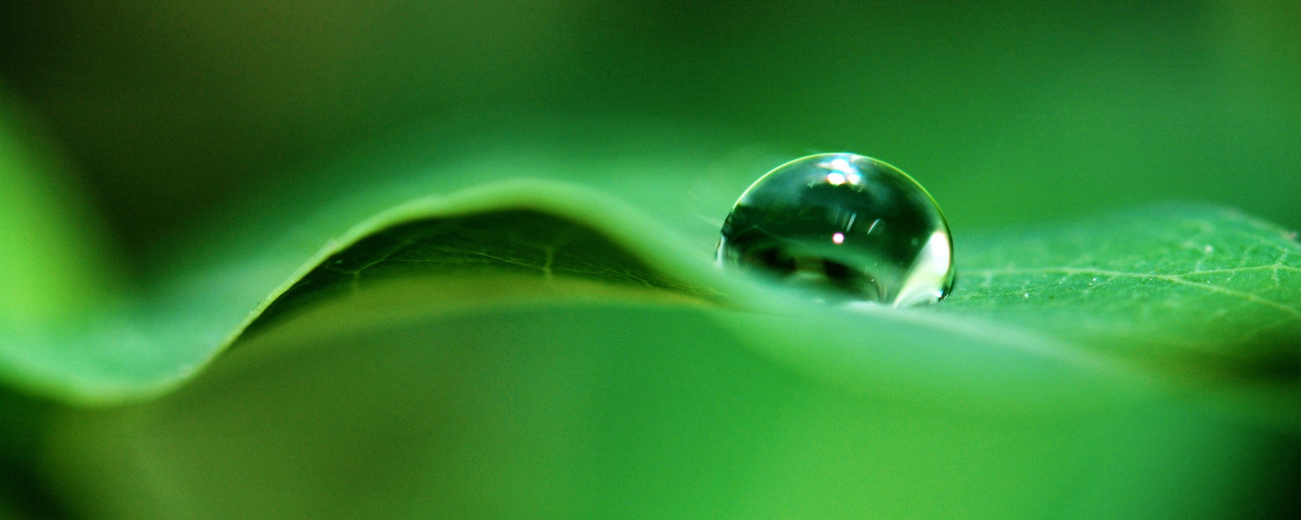 Фотография капли воды в макро обои