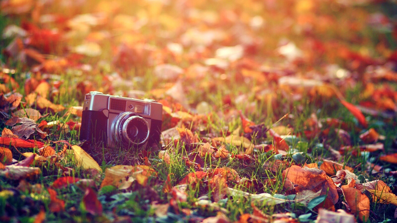 Фотоаппарат в траве без смс
