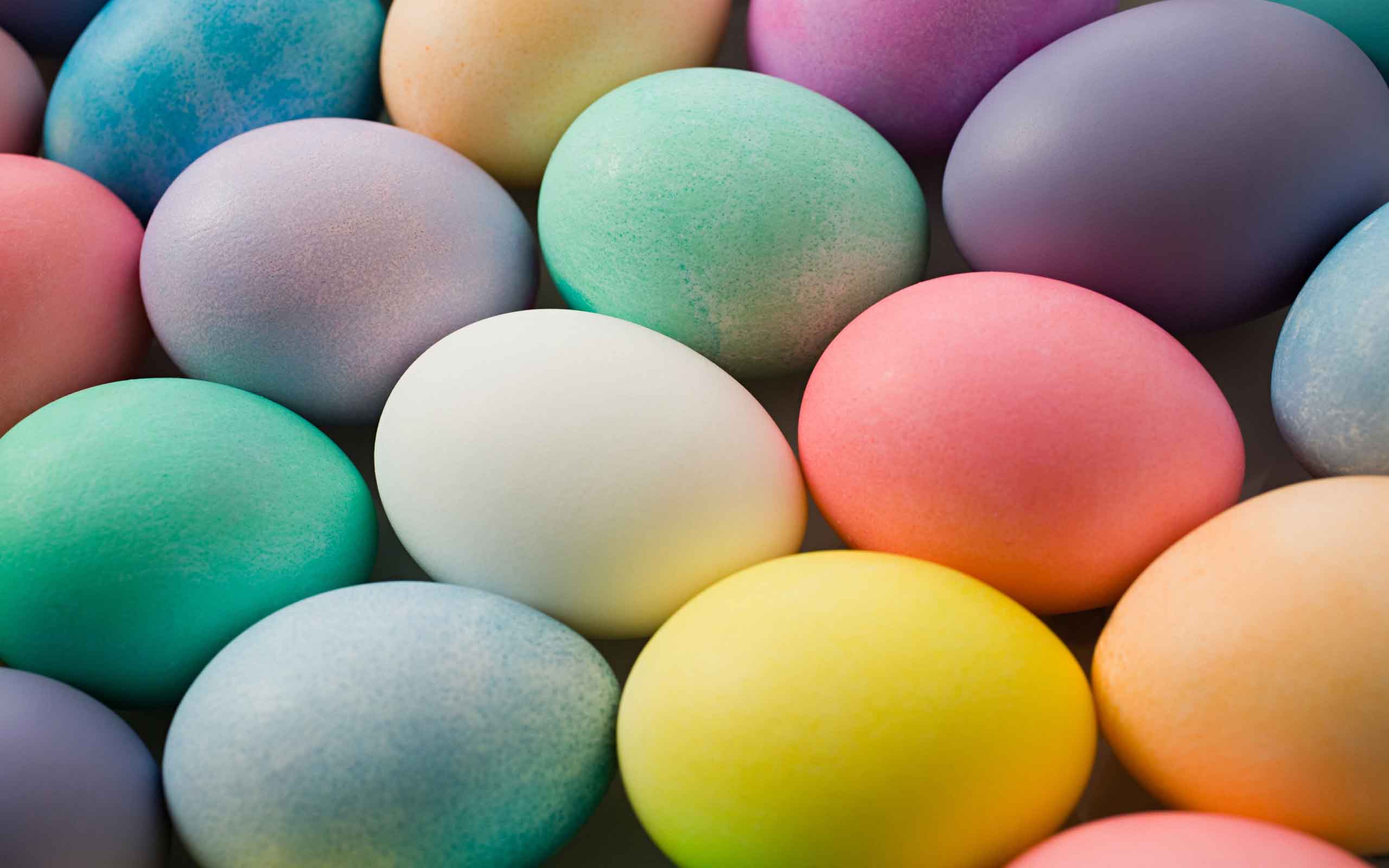 яйца гримасы eggs faces без смс