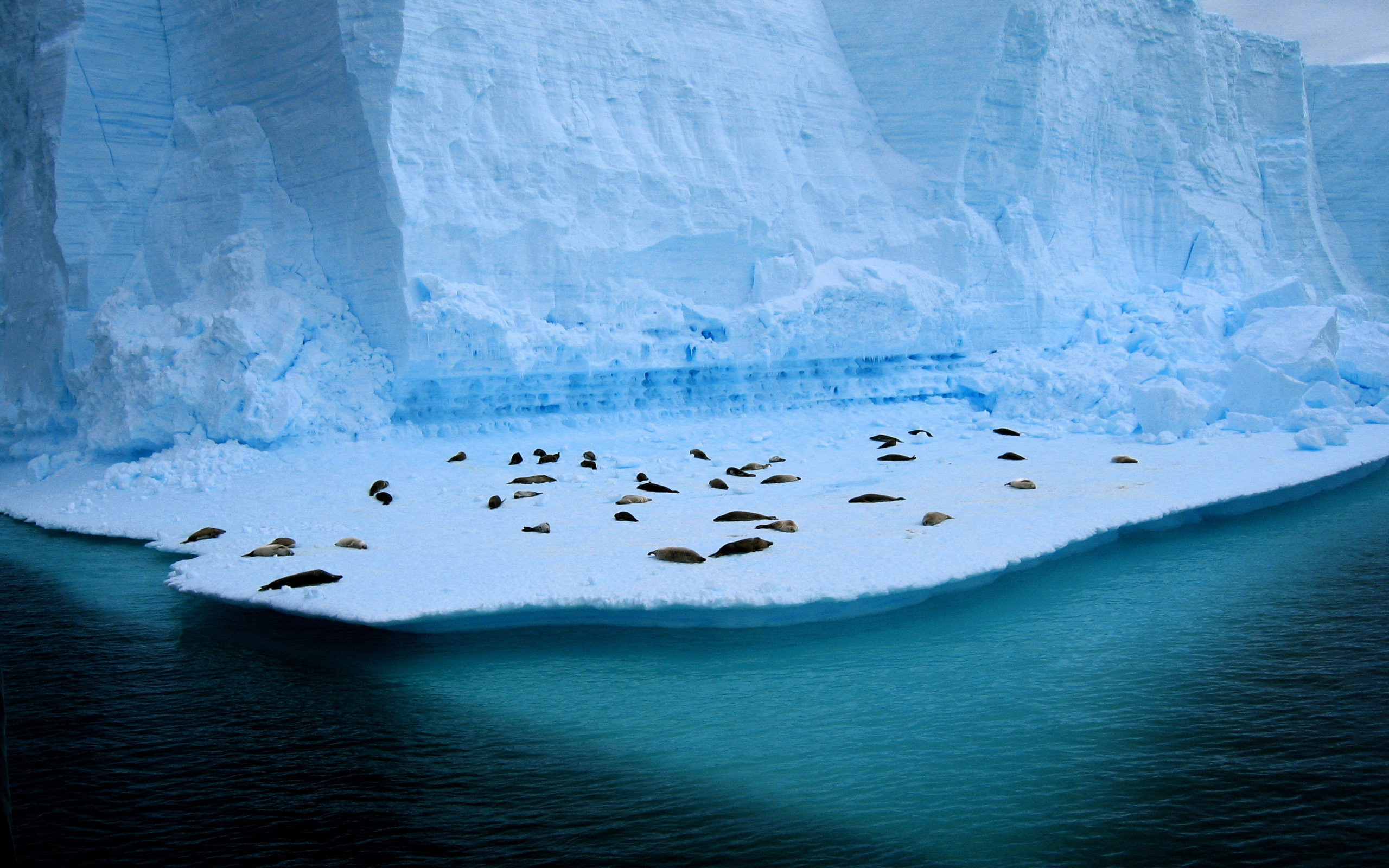 природа ледник арктика море загрузить