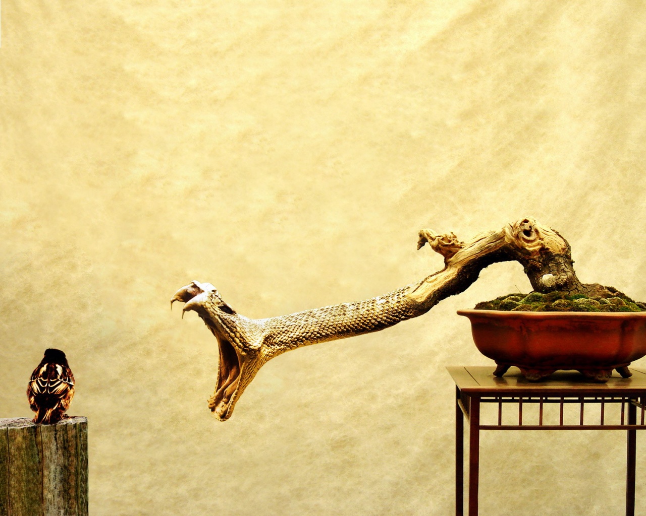 Змея-коряга напдает на птичку обои