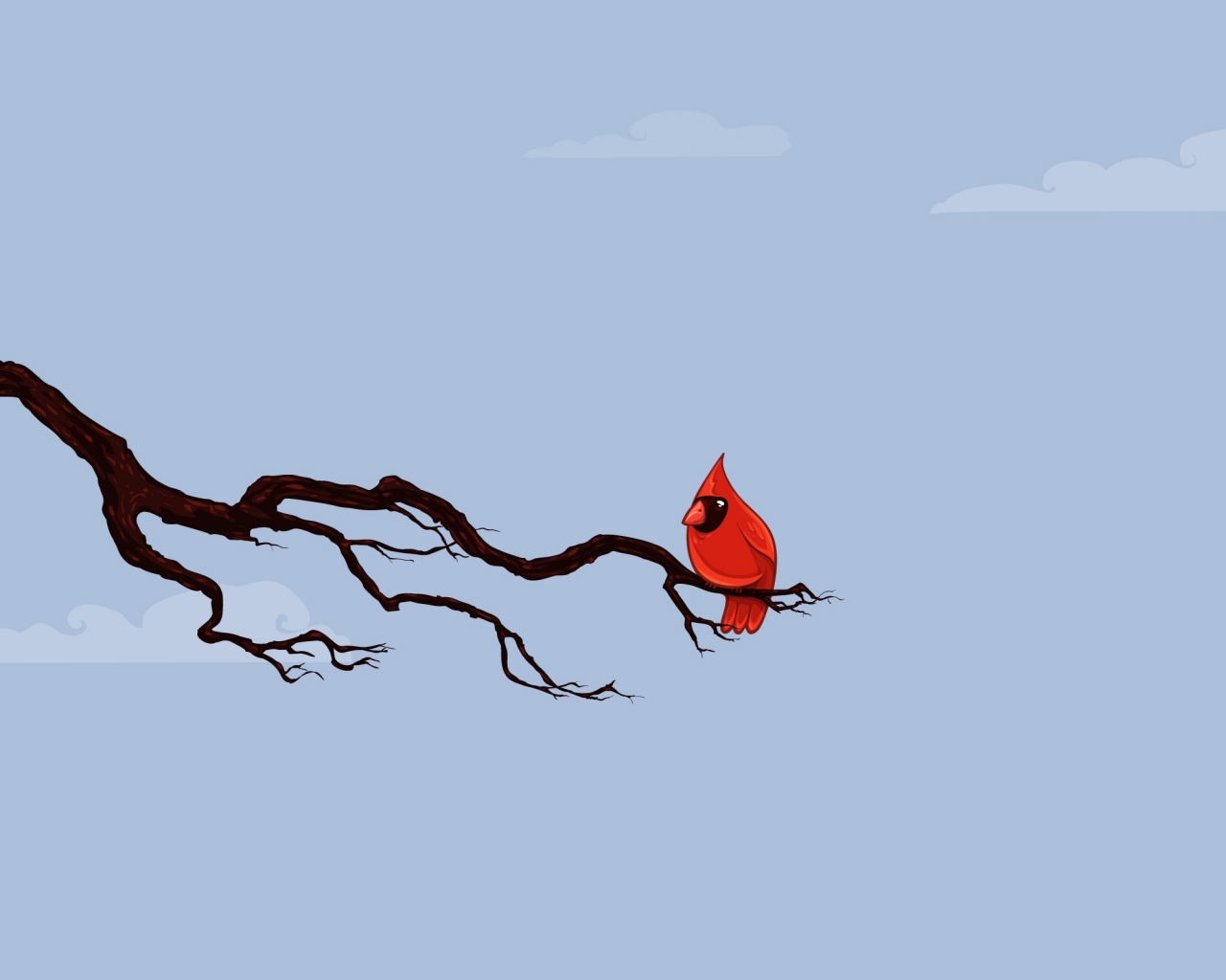 Красная птица на ветке обои