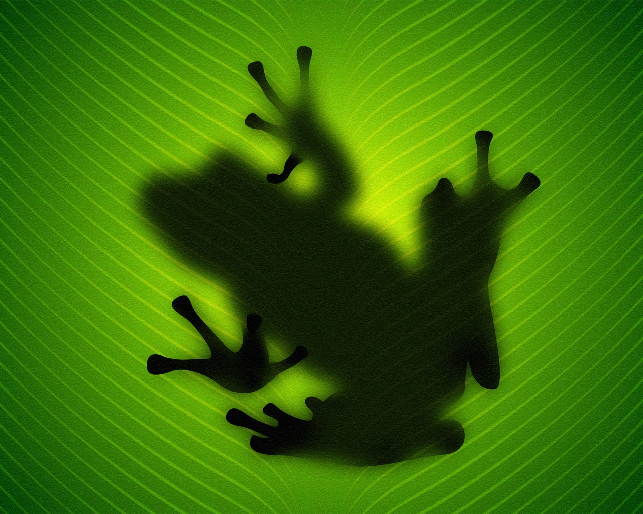 Силуэт лягушки просвечивает сквозь зеленый лист обои