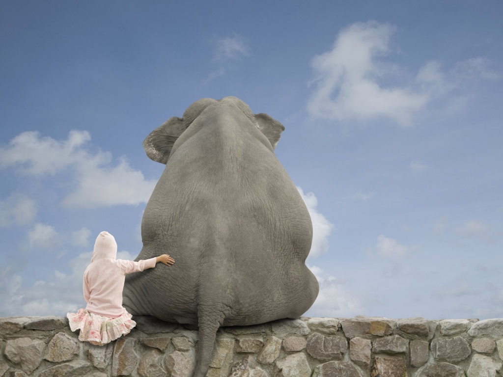 Девочка и слон обои
