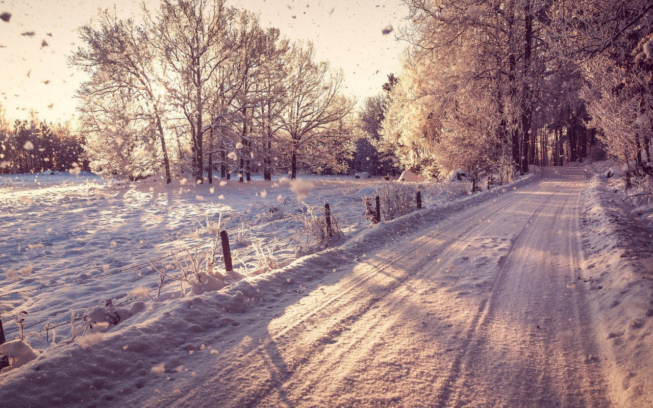 Снежная дорога залитая солнцем обои