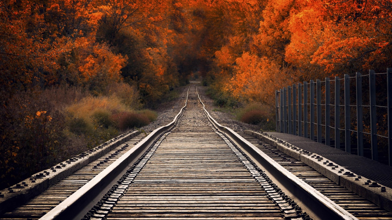 Железная дорога в осеннем лесу обои