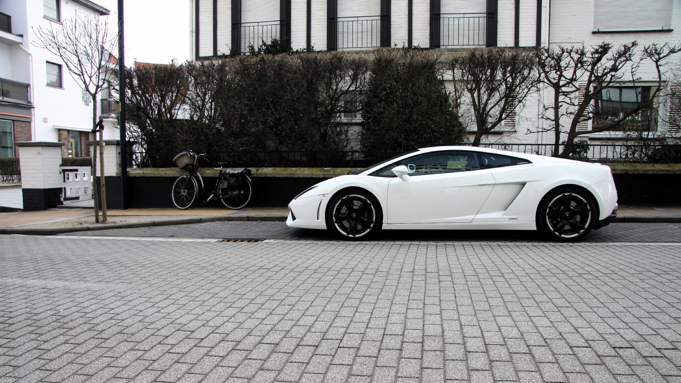 Белый Lamborghini обои