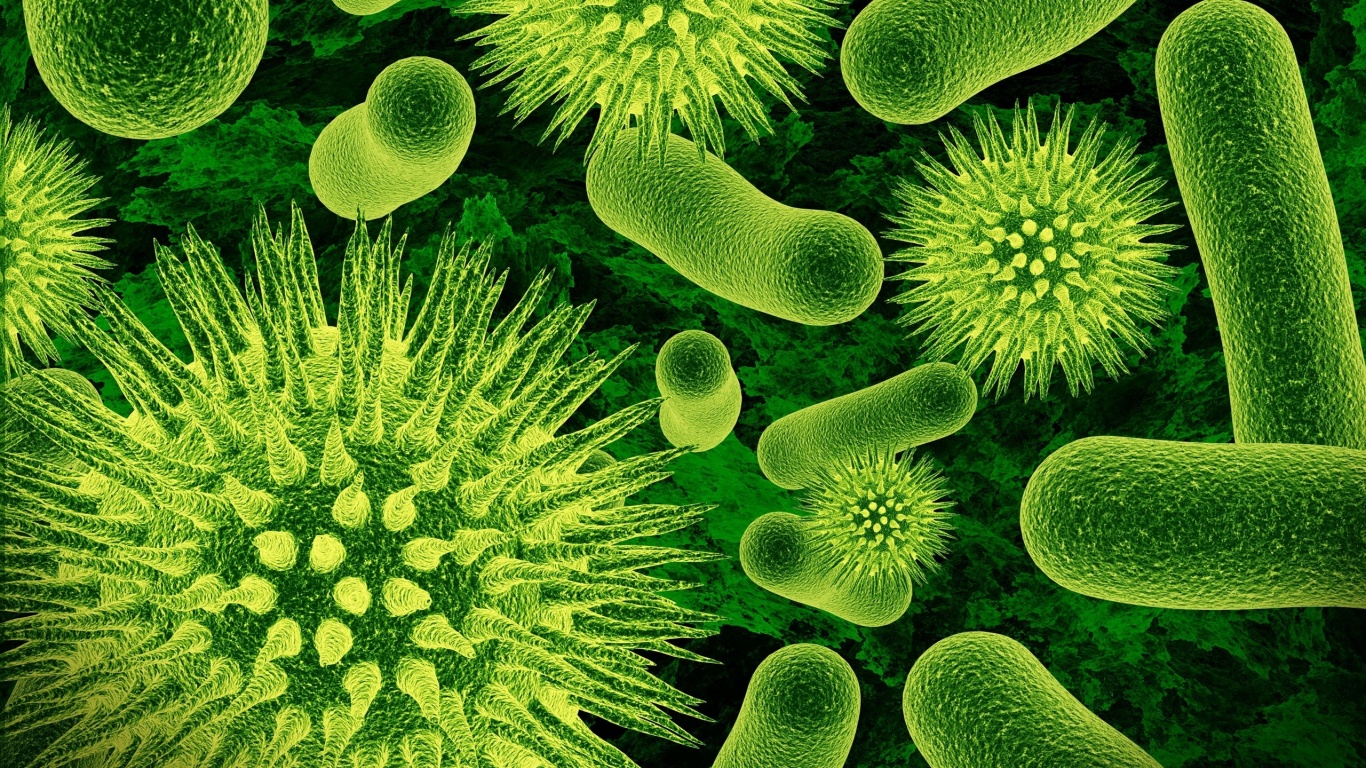 Бактерии обои