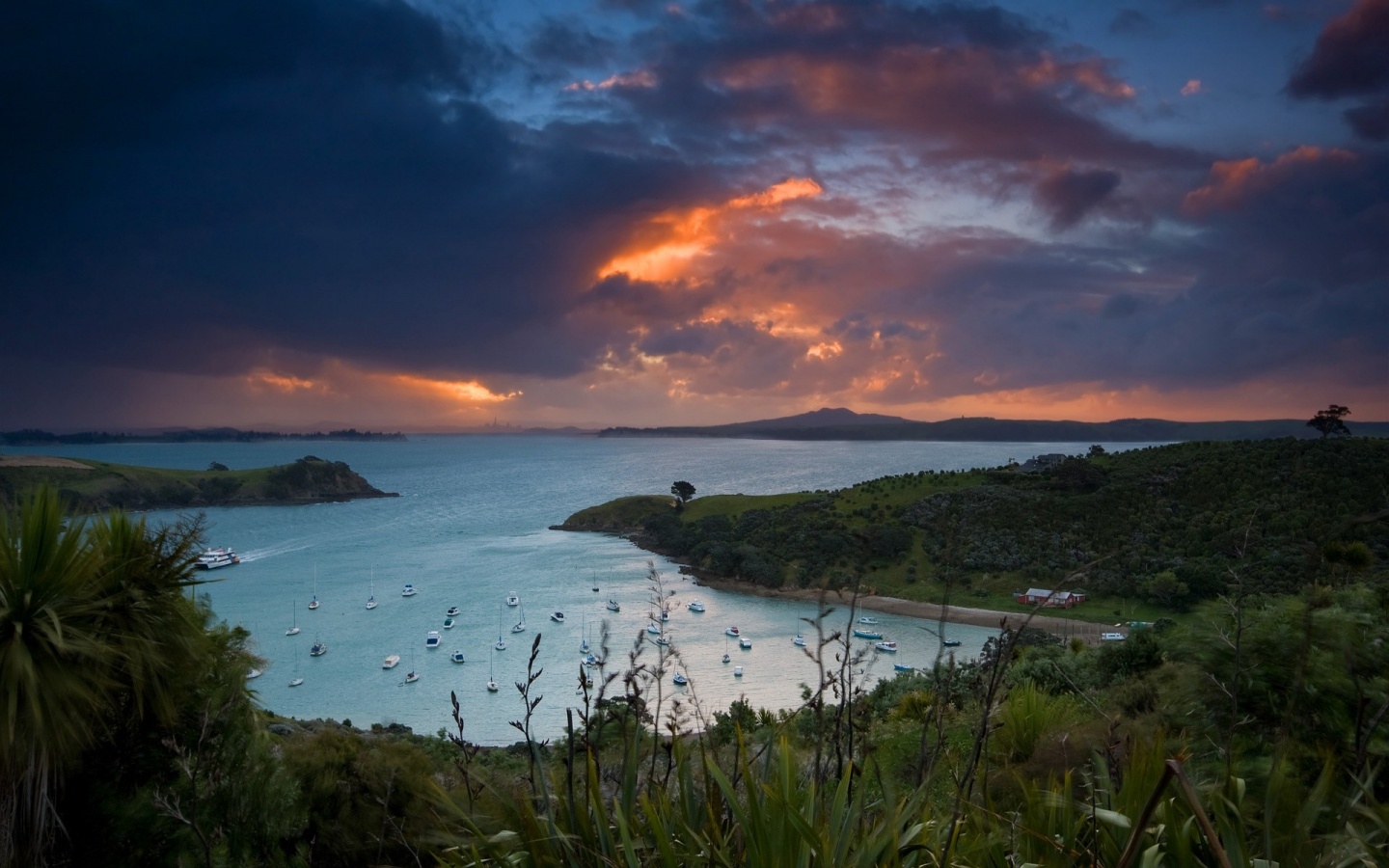 Waiheke Island, New Zealand обои