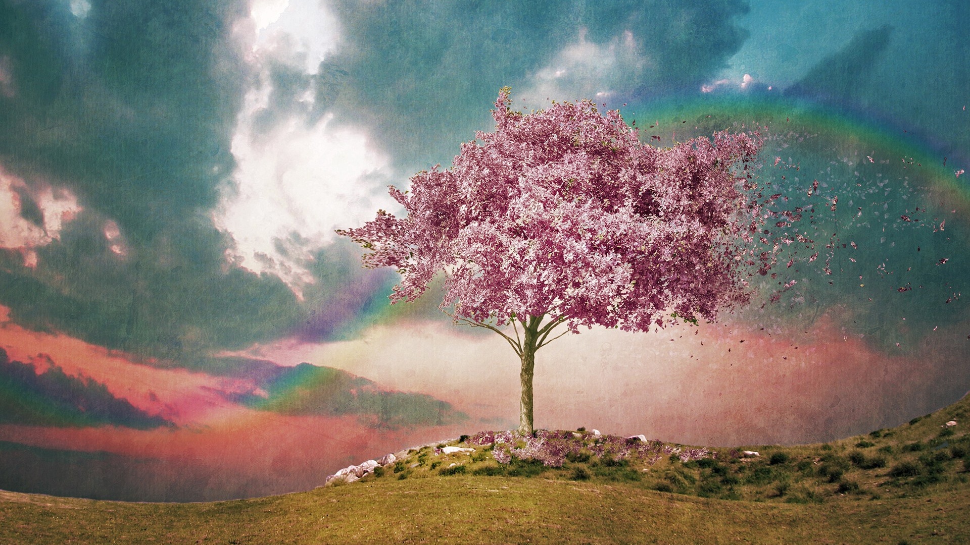 персиковое дерево скалы небо без смс