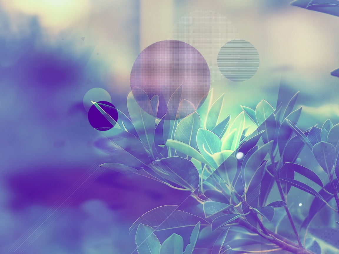 Синий фильтр с кргуами на фото листьев обои