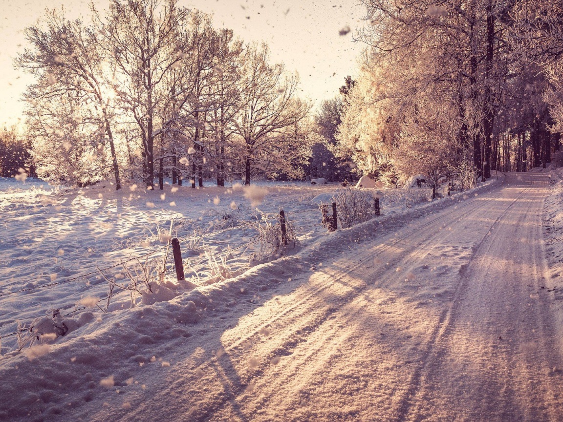 Снежная дорога залитая солнцем обои