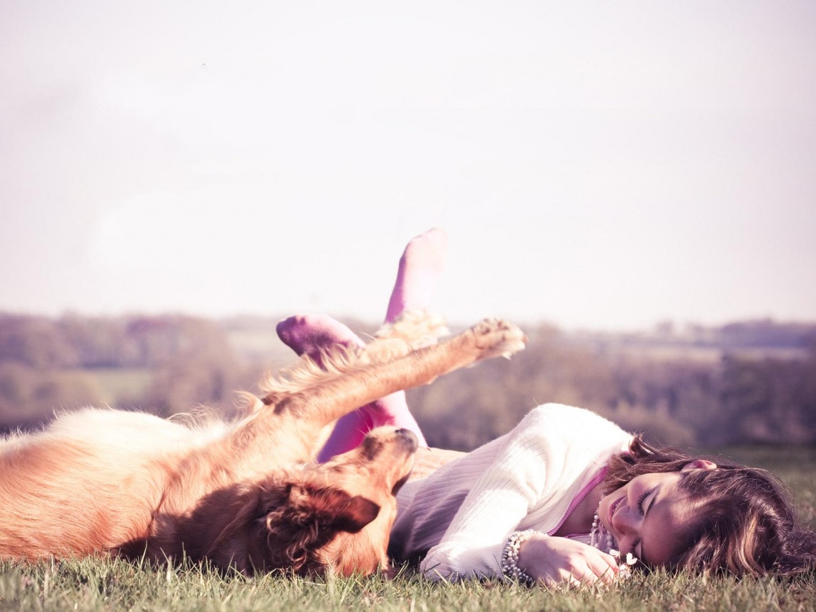 Девушка и собака валяются на траве обои