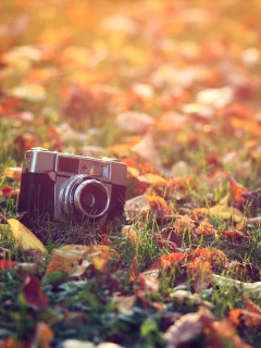 Старый фотоаппарат в траве обои