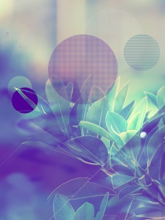 Синий фильтр с кргуами на фото листьев обои