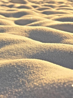 Песчаные бугры обои