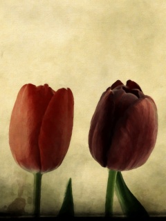 Нарисованные цветы обои