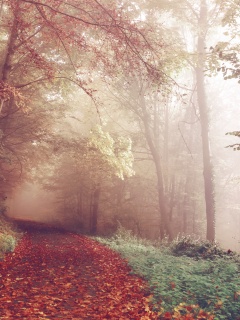 Осенний мистический пейзаж обои