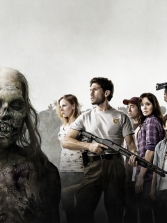 Walking dead обои