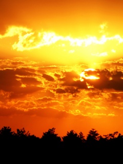 Ярко-оранжевое закатное небо обои