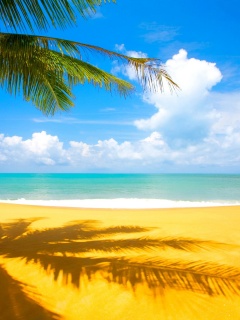 Пляжный рай обои