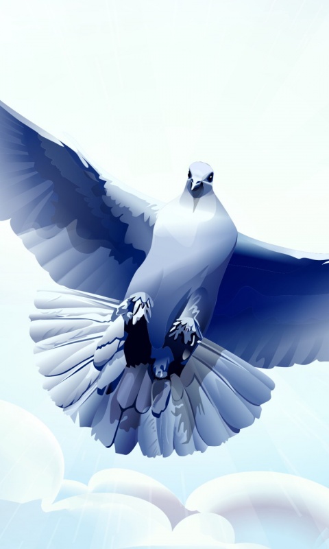 Белый голубь обои