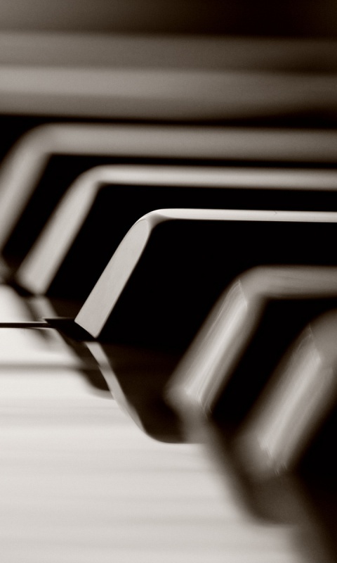Клавиши  рояля обои