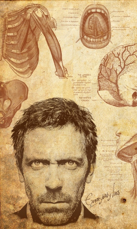Анатомические рисунки доктора Хауса обои