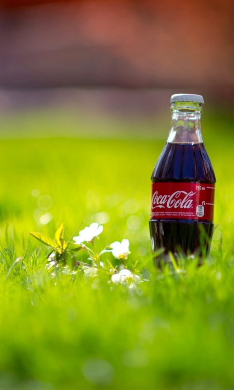 Кока-Кола на траве обои