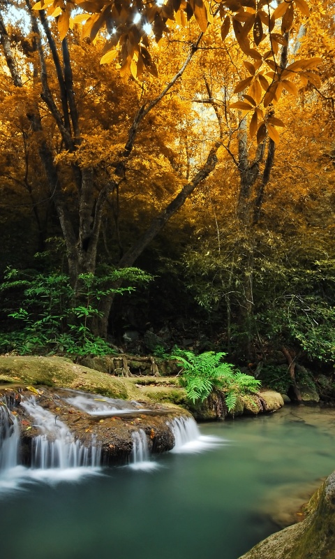 Водопадик в осеннем лесу обои