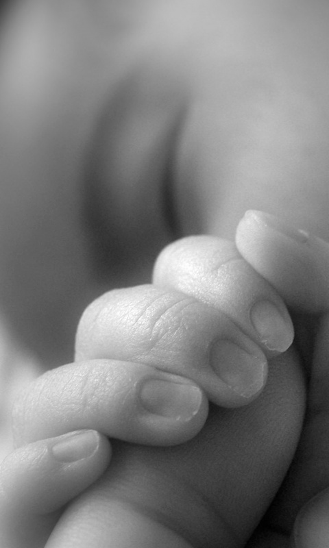 Младенец держит палец обои