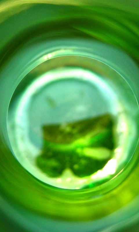 Зеленая бутылка обои