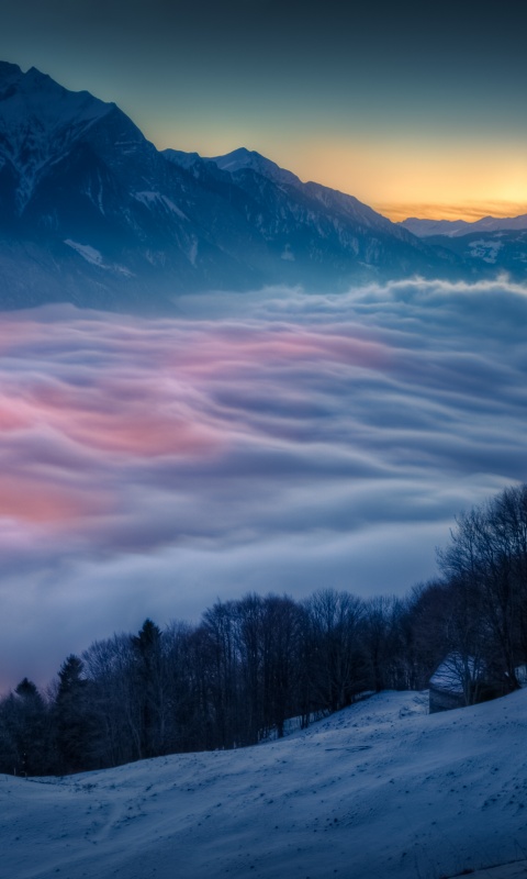 Туман в долине обои