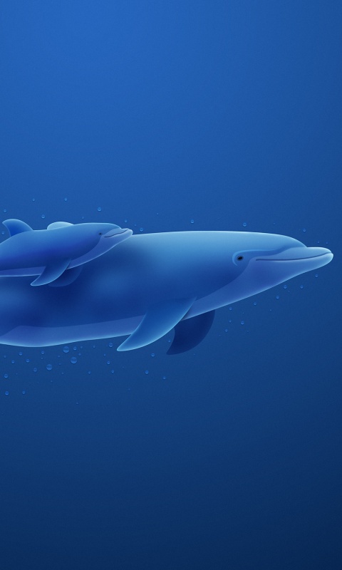 Дельфин и дельфиненок обои