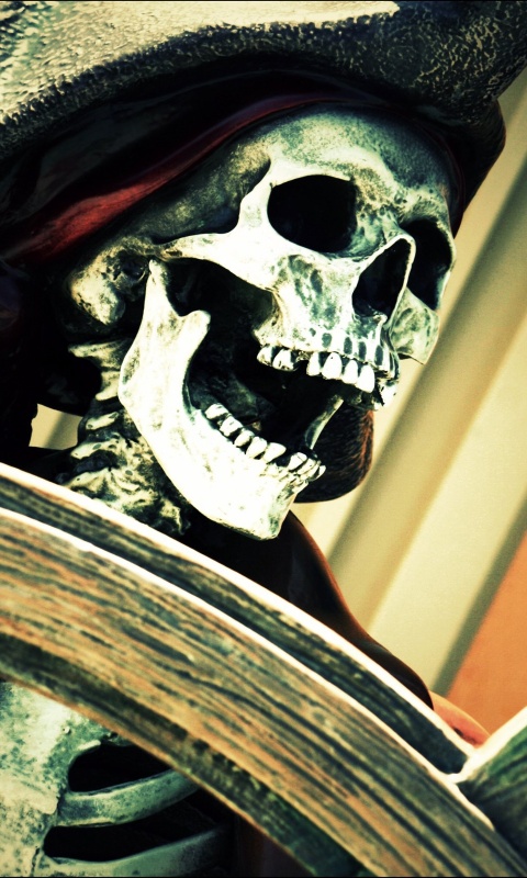 Скелет пирата за штурвалом обои