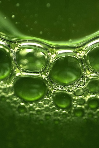 Зеленые пузыри обои
