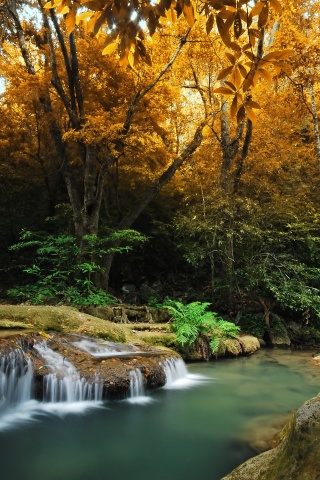 Водопадик в осеннем лесу обои