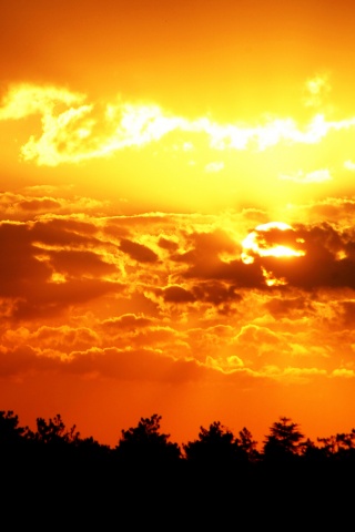 Ярко-оранжевое закатное небо обои