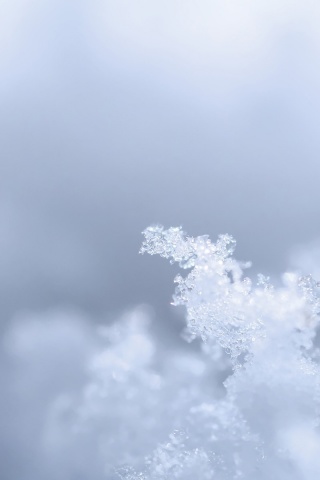 Макро фото снега обои