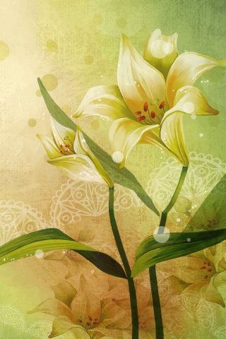 Красивое изображение лилии обои