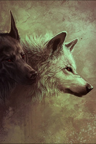 Волки обои
