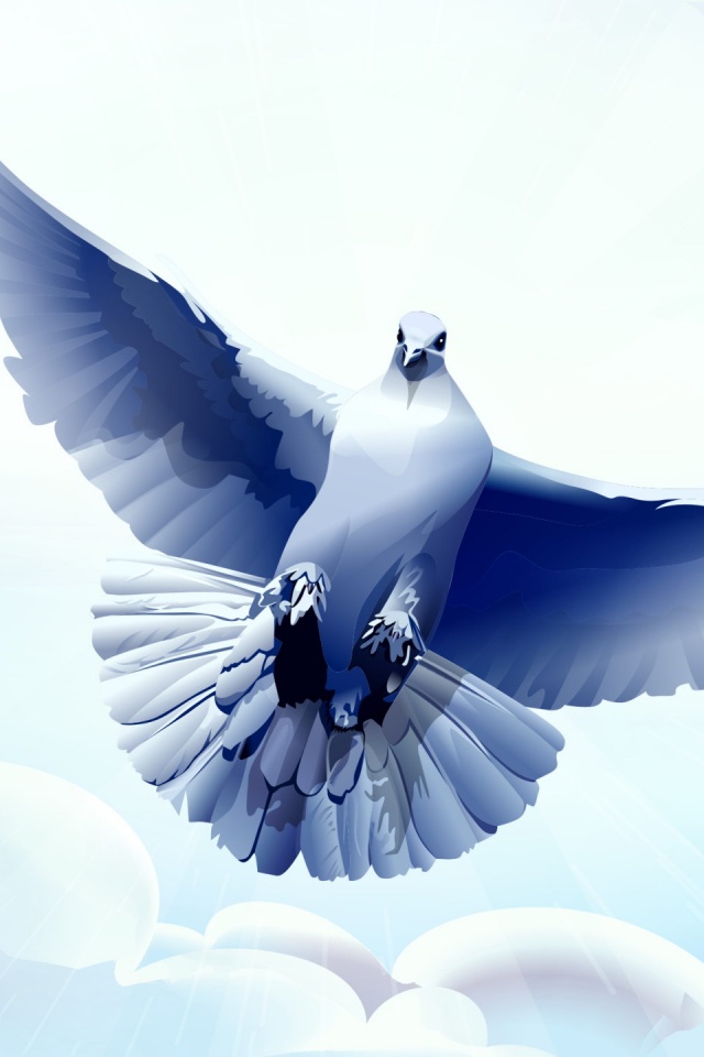 Белый голубь обои