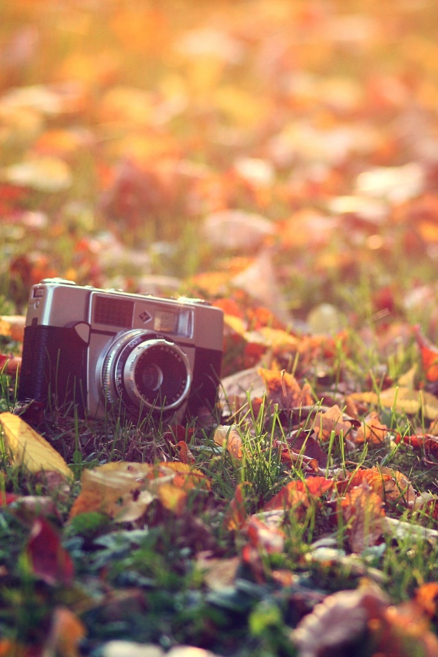 Старый фотоаппарат в траве обои